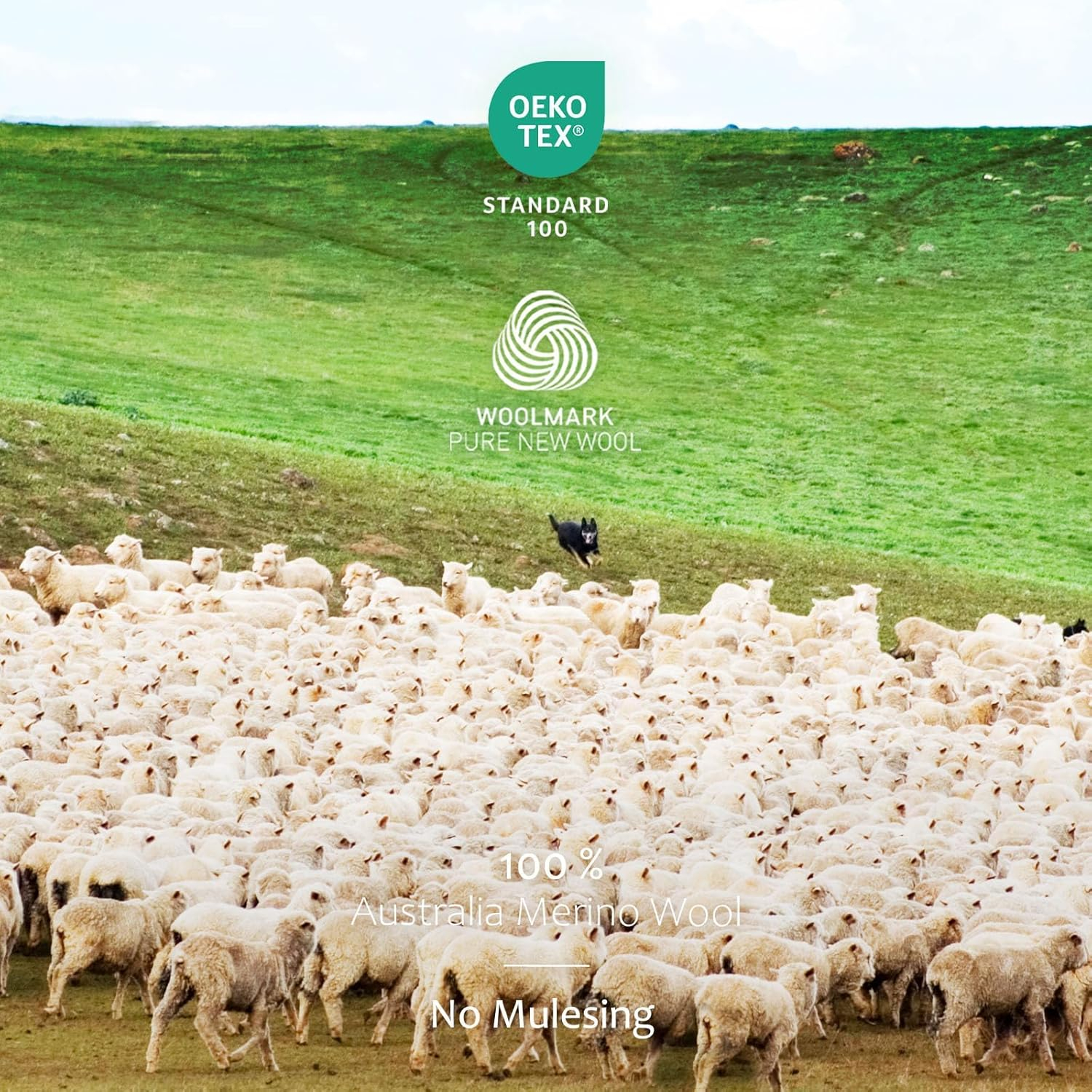 Merino Protect 100% Merino Wool Base Layer Mens Soft Long Sleeve Shirts Odor Resistance Thermal Underwear for Hunting Hiking image number 2