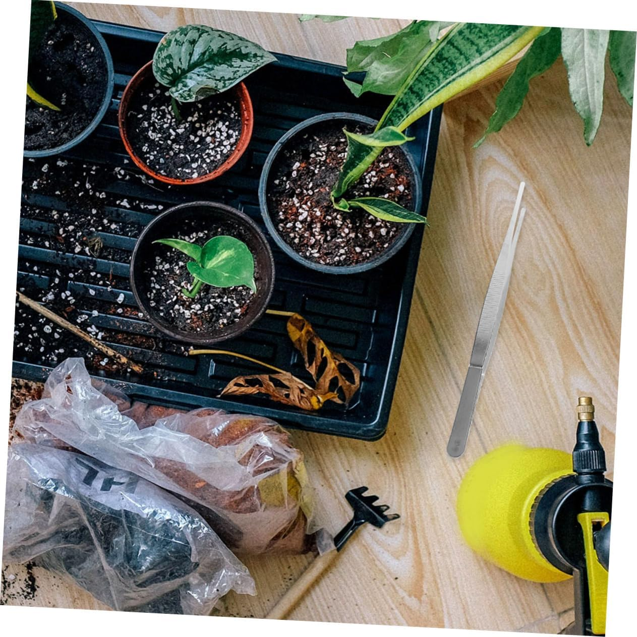 BESPORTBLE 10Pcs Gardening Tweezers Set 18Cm Long Gardening Plant Bonsai Tweezers Teeth Portable Craft for Garden Tools and Household Plant Care image number 6