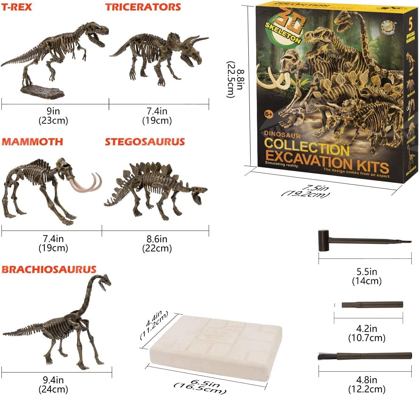 Dinosaur Fossil Digging Kit for Kids and Adult, STEM Science Dinosaur Fossil Dig Kit for Paleontology and Archeology Enthusiasts, Realistic Dig up Dinosaurs Skeleton Set Educational Toys image number 1