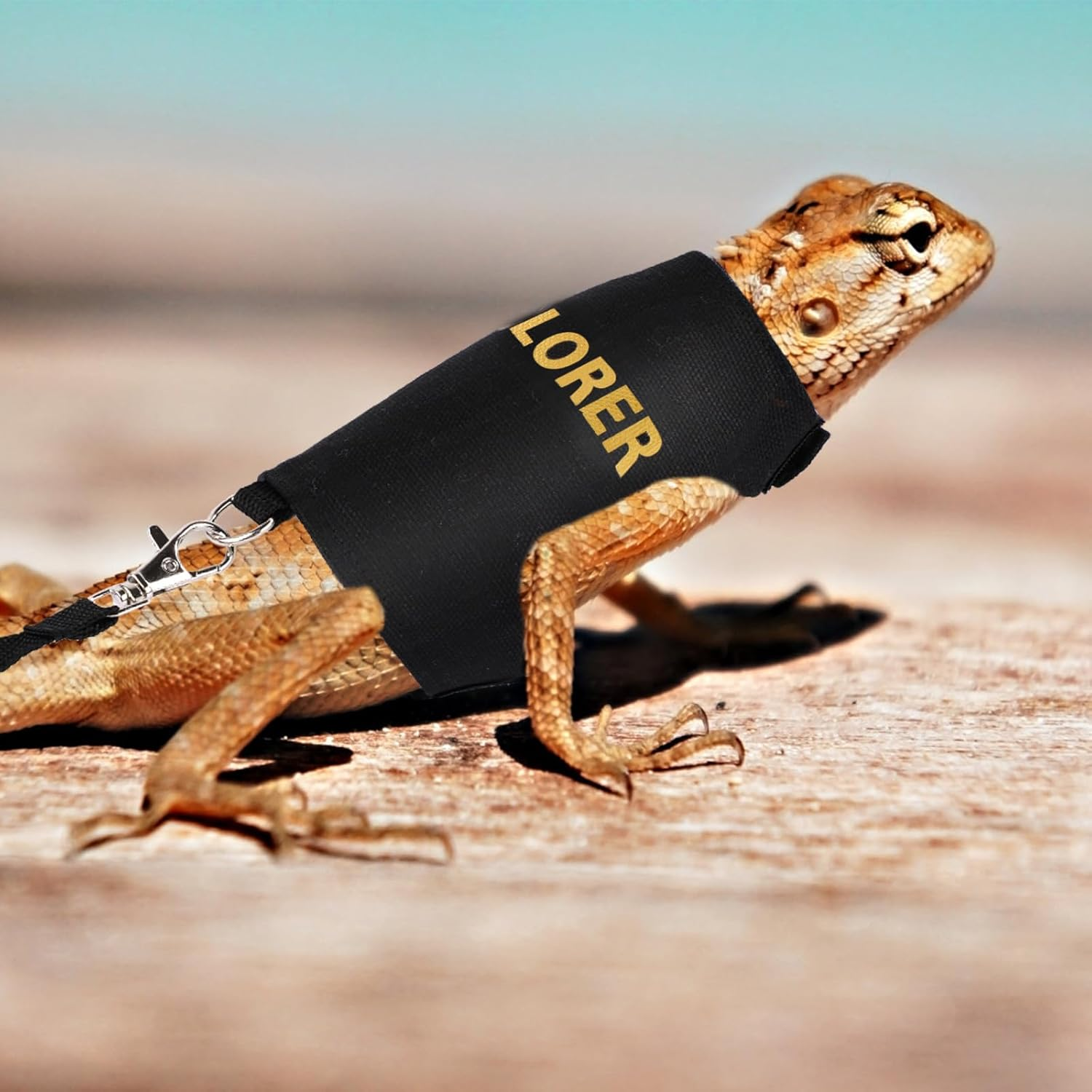 Bearded Dragon Leash & Preservation Set, Bearded Dragon Accessories Adjustable Reptile Lizard Tool for Chameleon Small Pet Plaza Safe Walk Outside image number 1