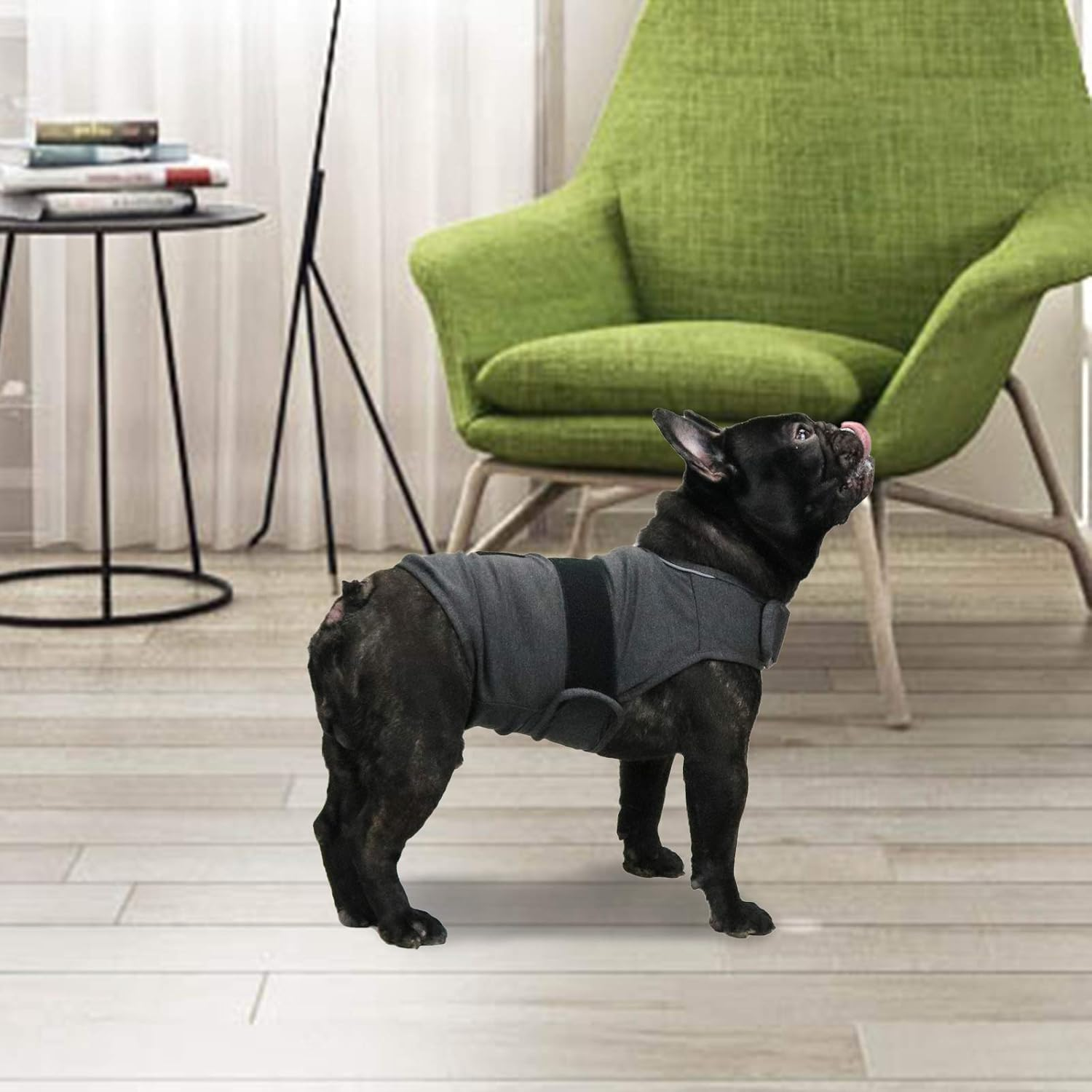 Breathable Dog Shirt for Thunderstorm, Dog Anxiety Vest Jacket Warp,Puppy Calming Coat Anxiety Relief (M, Grey) image number 6