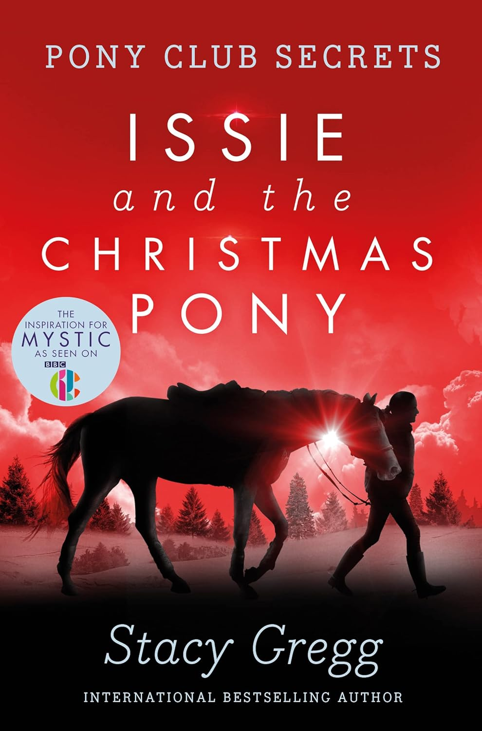 Pony Club Secrets: Issie and the Christmas Pony image number 2