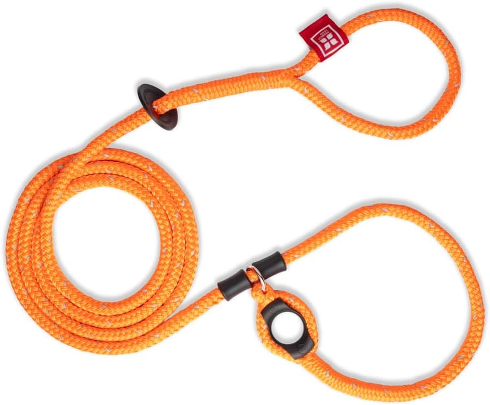 Harness Lead No Pull Dog Harness and Leash Set, anti Pull Dog Harness, One-Piece Cushioned Rope Safely Prevents Escaping and Pulling *New Insert Is Removable (Medium/Large, Peacock/Blue/Lime)