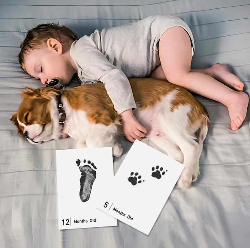 14 Pieces Baby Inkless Milestone Cards,1 Month to 12 Month Hand and Footprint Kit,Dog or Cat Pet Paw Print Kit,Newborn Safe Inkless Pad,Hello World Newborn Sign Memory Kit(14 Ink Pad+14 Papers) image number 2