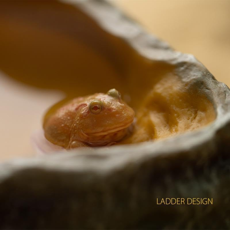 Reptile Water Bowl Large, Resin Water Dish Food Bowl for Tortoise Lizard Frog Terrapin Gecko Spider Scorpion Reptile Drinking Bowl Water Tray 26X20Cm image number 1