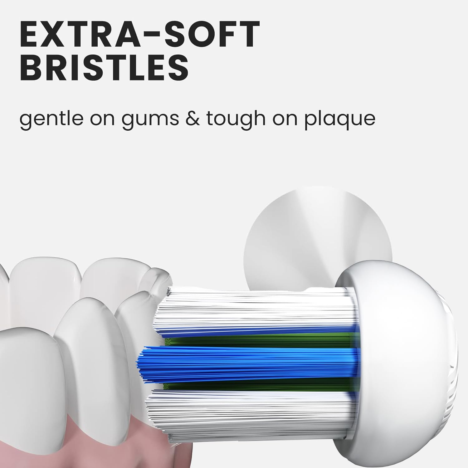 Oclean Toothbrush Standard Clean Brush Head Replacements, Compatible with All Oclean Electric Handles, FDA Approved image number 4