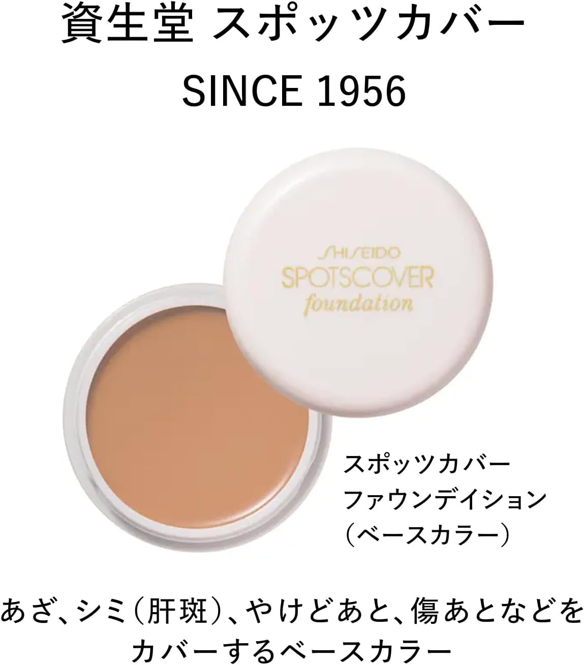 Shiseido Spots Full Cover Foundation 20 G, H100 image number 5