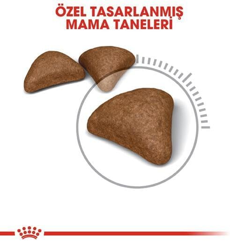 Royal Canin Hairball Care Adult Cats Food 2 Kg image number 1