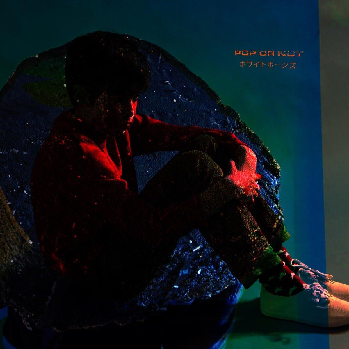 Pop or Not image number 2