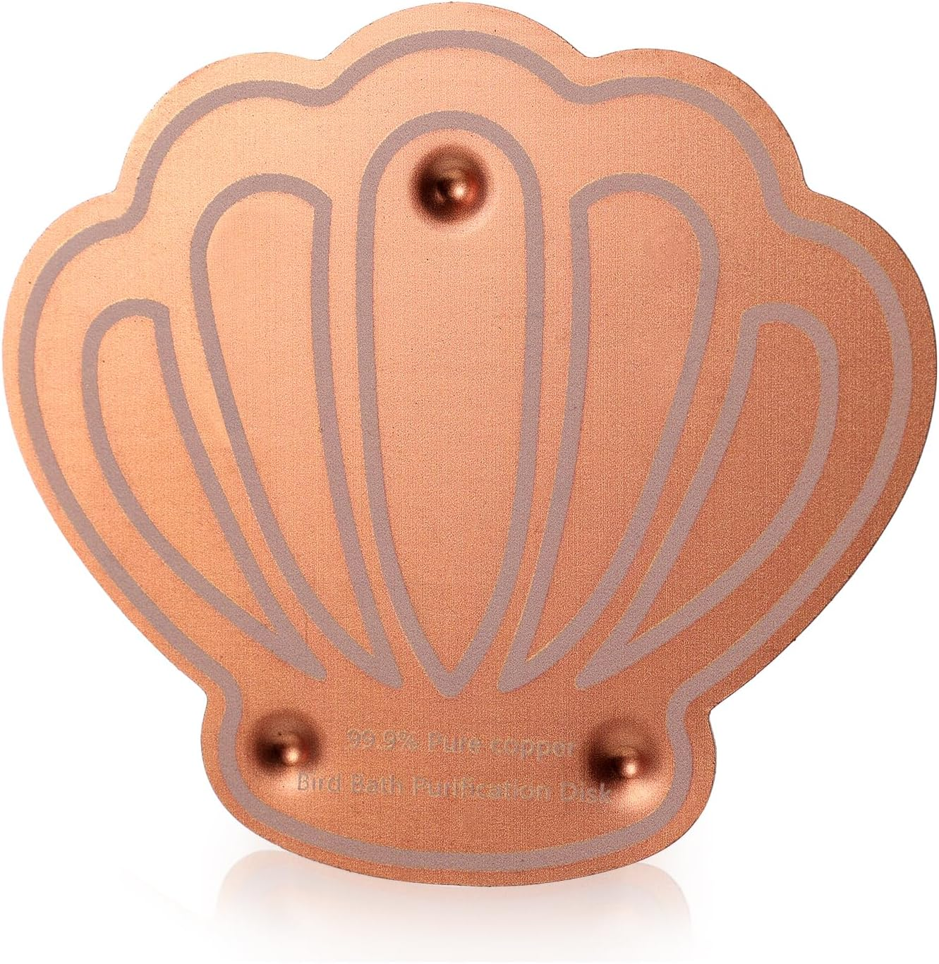 Bird Bath Copper Disk, Shell Shape Reinforced Copper Purification Disk with Triple-Point Practical Bird Bath & Bowls Cleaner for Outdoor All-Season Use image number 1