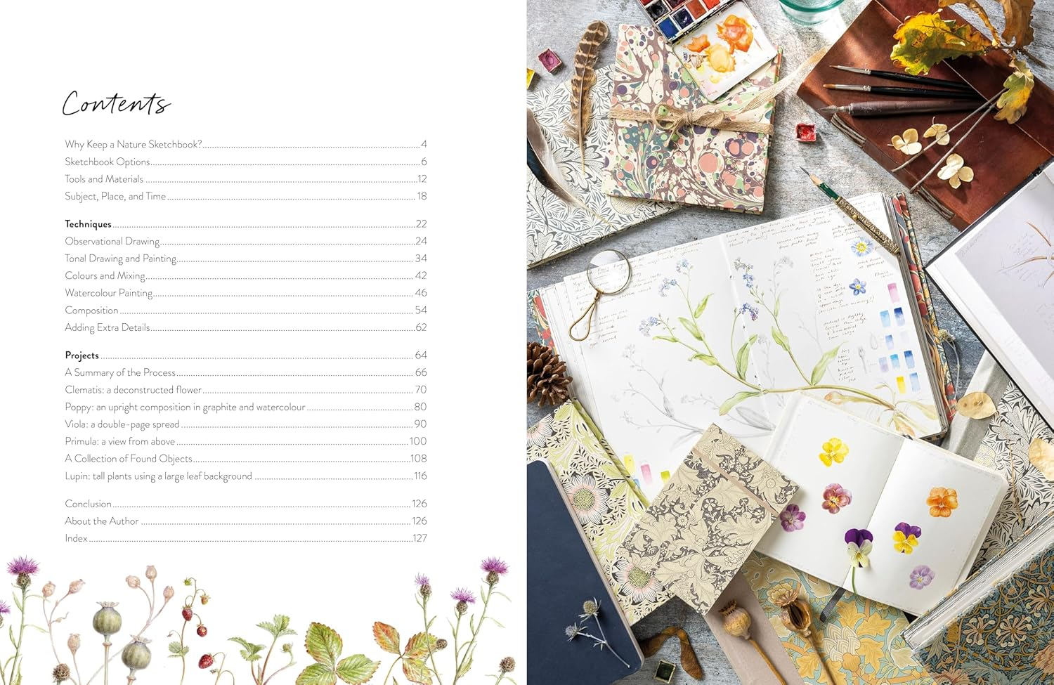 Sketching Nature: the Beginner'S Guide to Keeping a Botanical Sketchbook image number 5