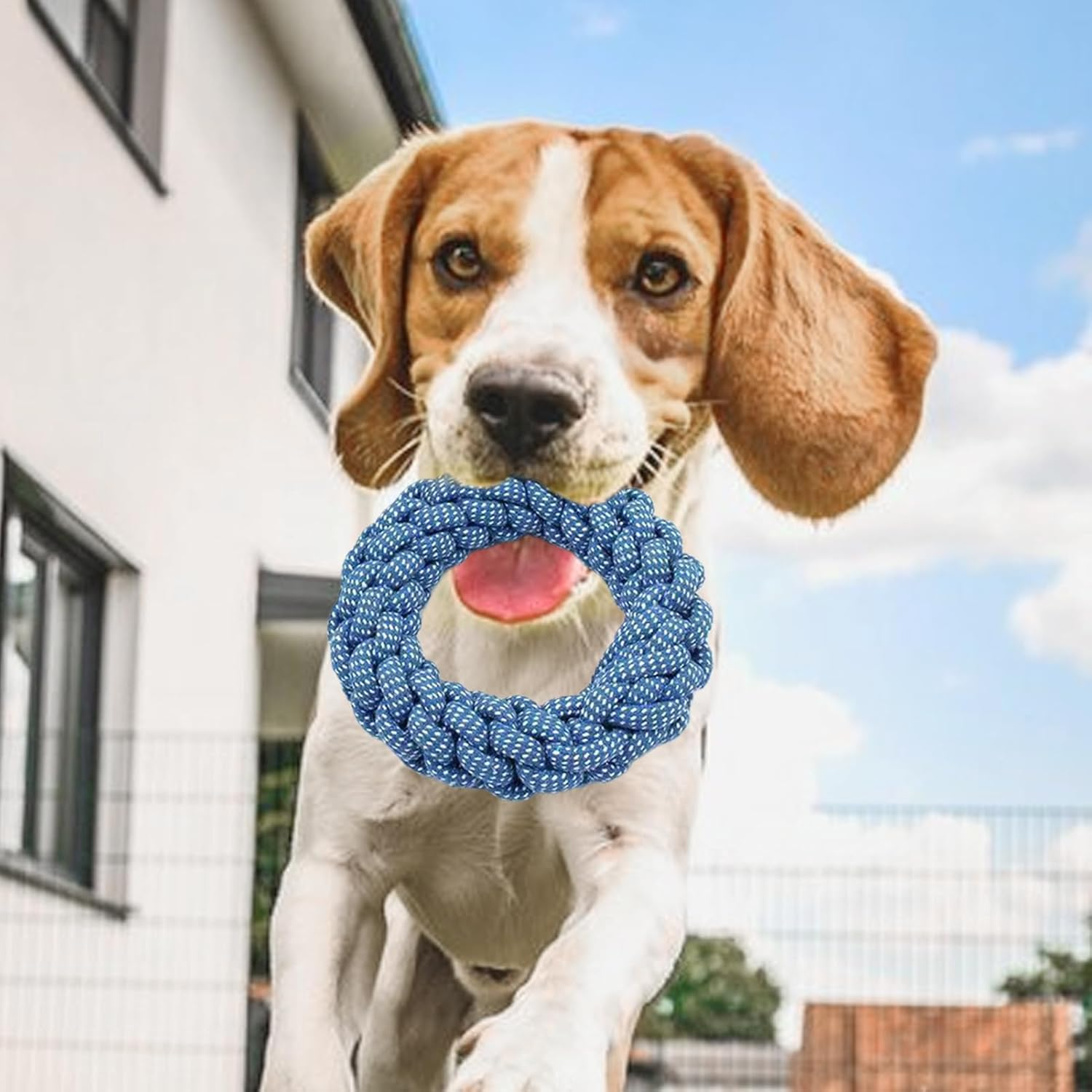 Dog Toys Rope | Puppy Teething Toy | Elastic Lightweight Rope for Medium and Large Aggressive Pets Training