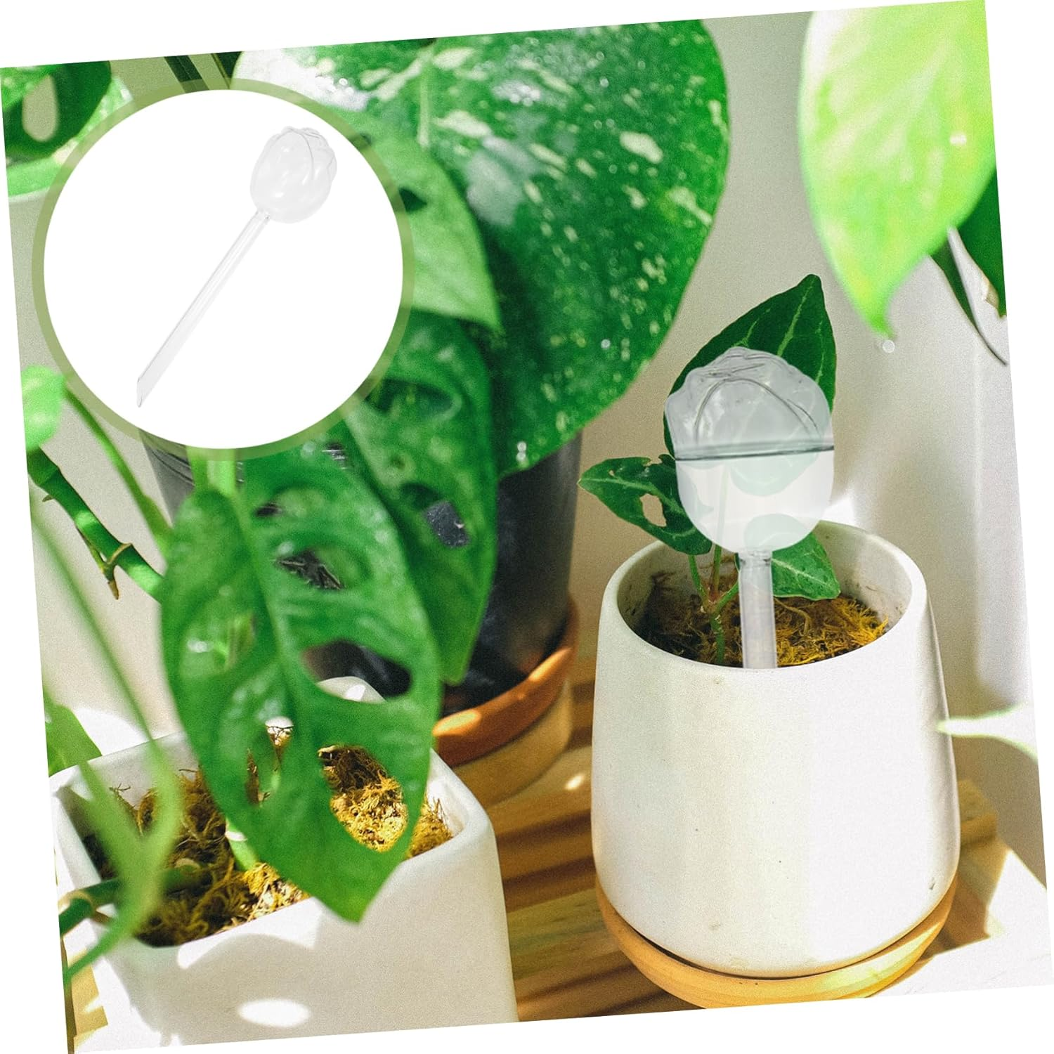 Happyyami Automatic Watering Machine Glass Plant Watering Device for Indoor Outdoor Use for Flower Plants image number 6