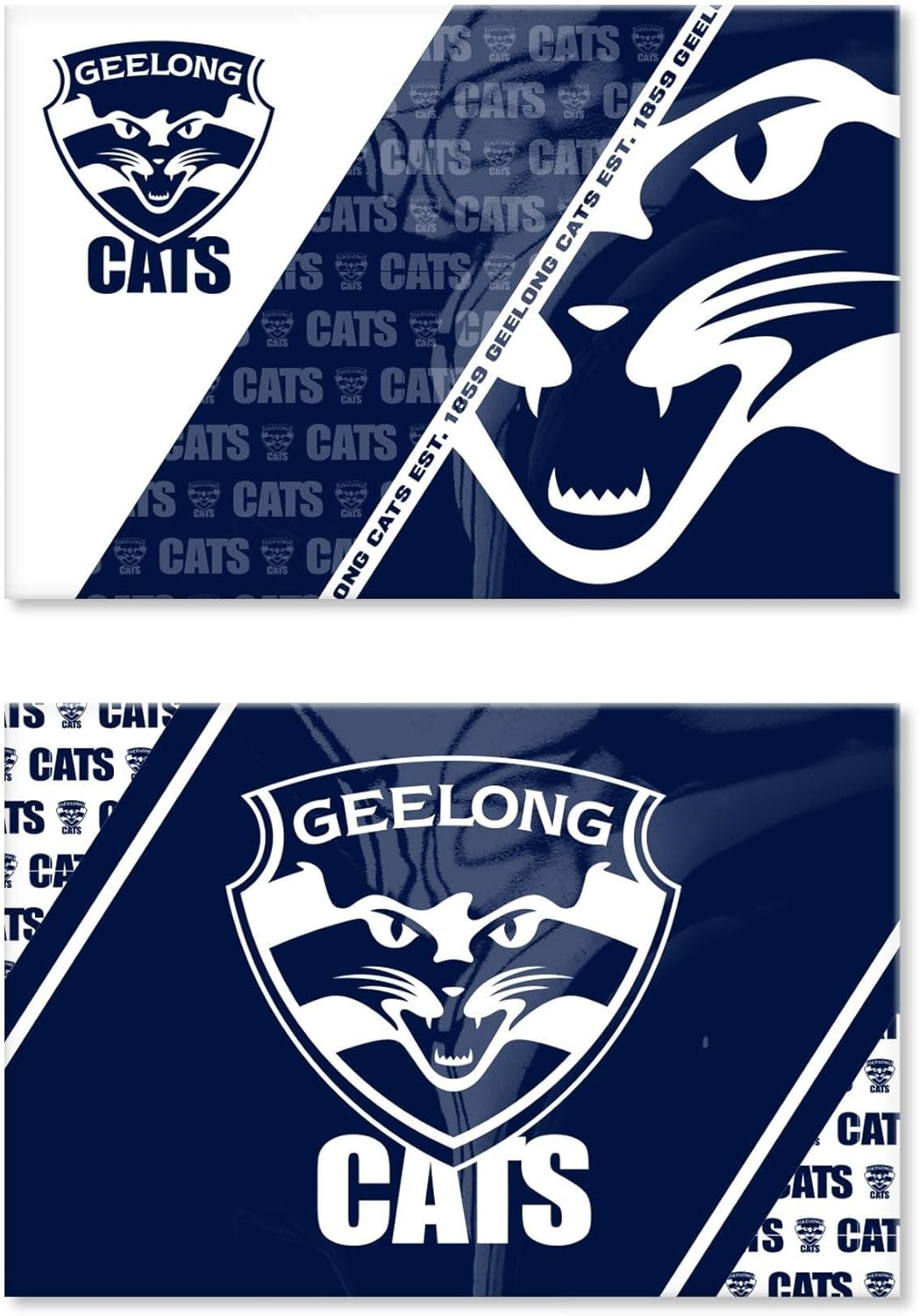 Geelong Cats AFL Footy Set of 2 Magnets 78 X 54Mm