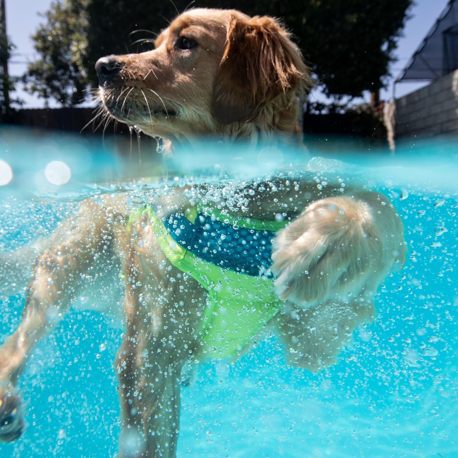 Outward Hound Standley Sport Green Performance Dog Life Jacket, Medium image number 2