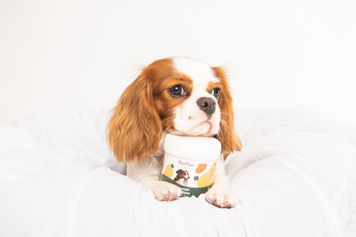 Pa & Paws Pet Dental Finger Wipes &ndash; 50Pcs | Fresh Breath & Oral Hygiene for Dogs & Cats | Peppermint | Safe & Easy Pet Tooth Cleaning image number 2