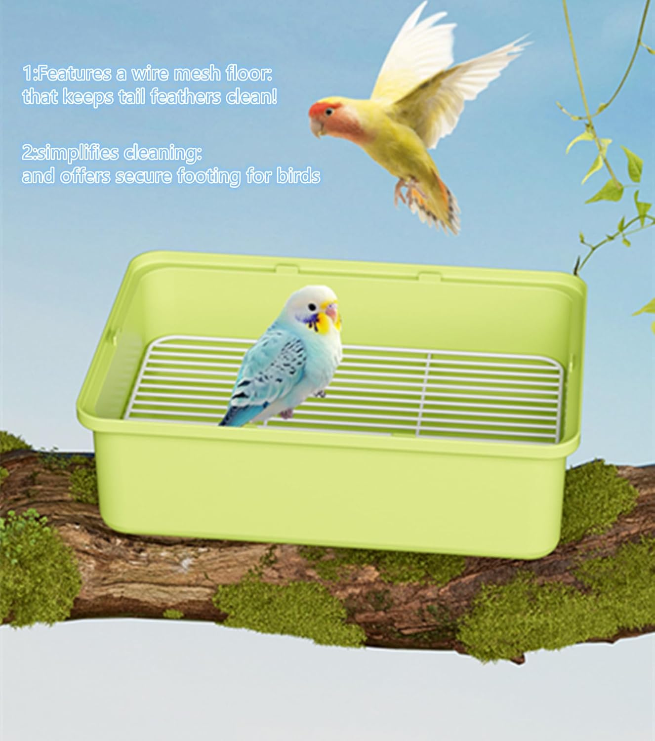 Portable Bird Travel Carrier Cage &ndash; 360&deg; Full View Wire Carrier with Feeder & Water Cup for Cockatiels, Parakeets &ndash; Locking Door, Easy Clean, Perch Included &ndash; Perfect for Vet Visits, Trips(Size:L) image number 4