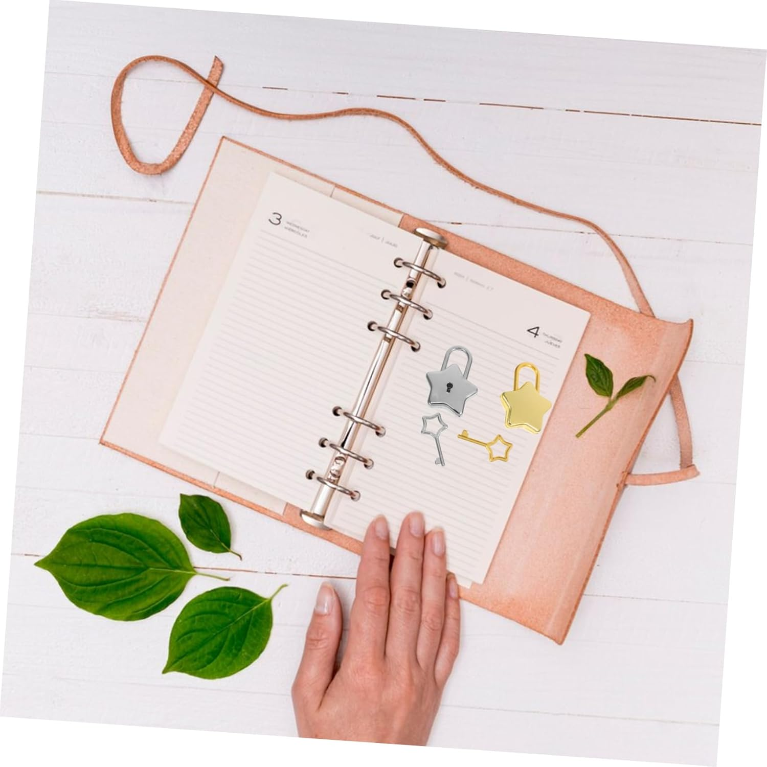 Vaguelly 2Pcs Travel Locks Padlock Key Small Keys for Luggage Backpacks and Valuables