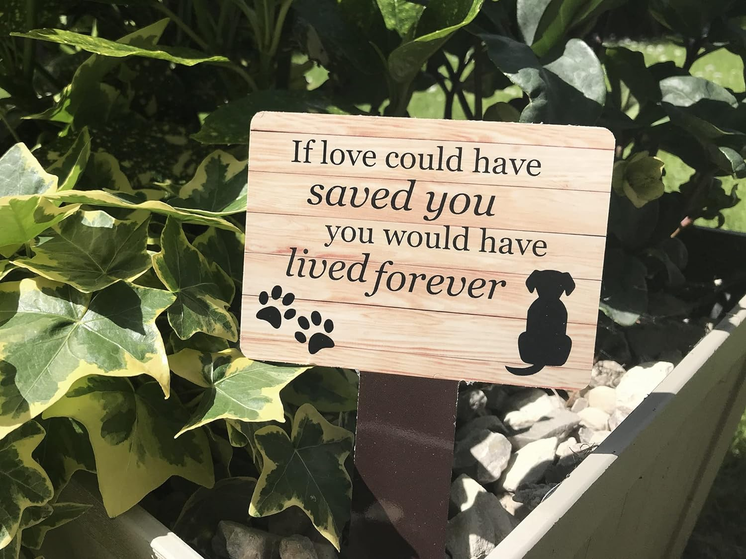 Dog Memorial Plaque with Ground Stake, Garden Grave Marker - Perfect Pet Tribute with a Choice of Remembrance Poems. Waterproof and Hardwearing. Shipped Globally. (Lived Forever)