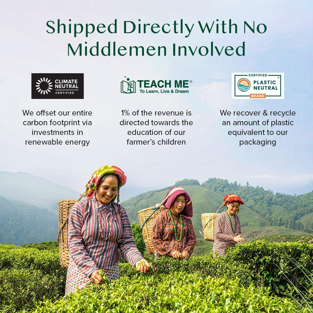 VAHDAM, Sweet Cinnamon Masala Chai Tea (15 Pyramid Tea Bags) Non-Gmo, 100% Natural Spices | Ancient Cinnamon Tea Recipe | Spiced Chai Tea Bag, Brew as Hot Tea or Iced Tea image number 4