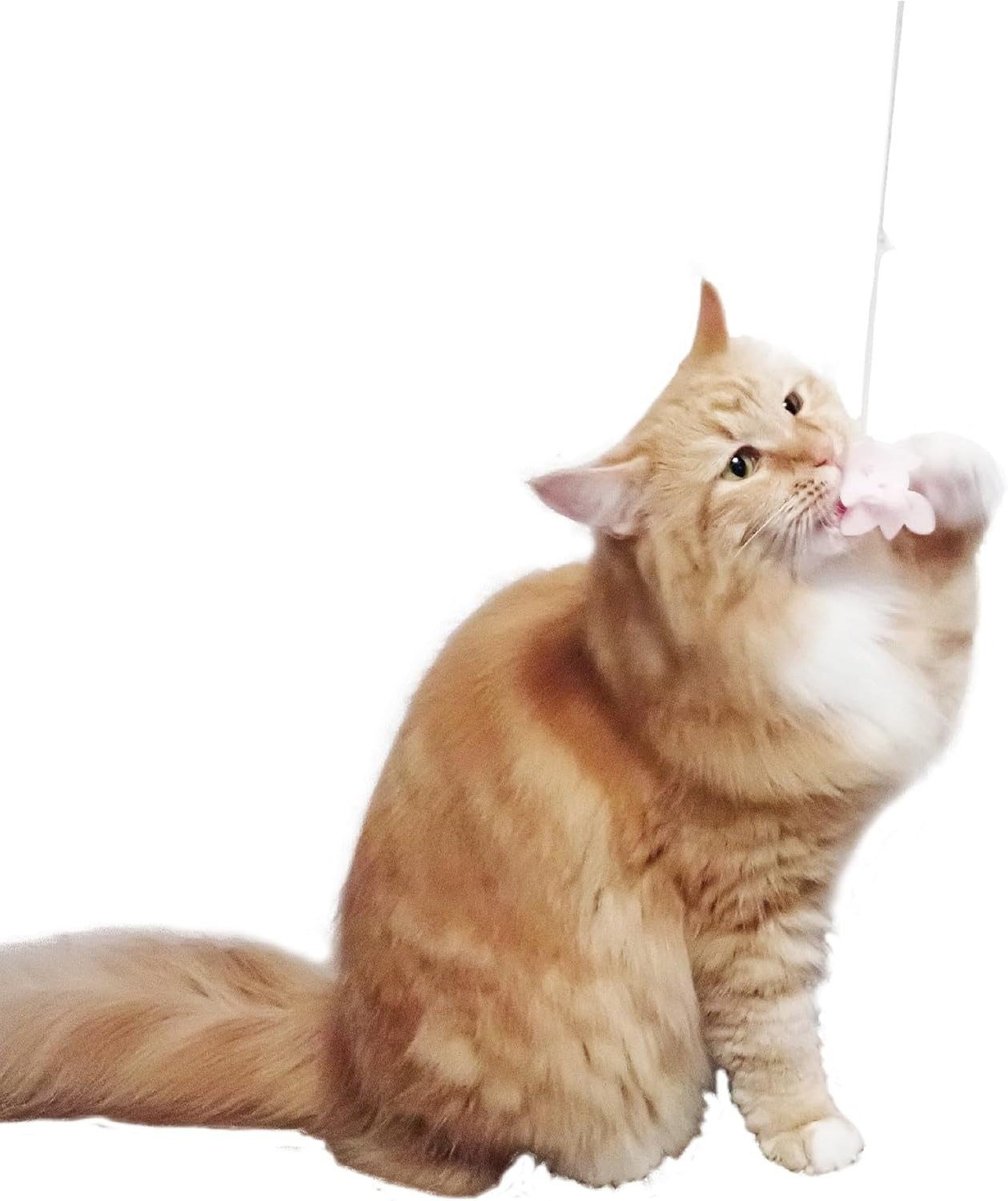 Petzroot Silicone Bite Teeth Cleaner Kingyo Cat Toothpaste Toy Set of 4 image number 2