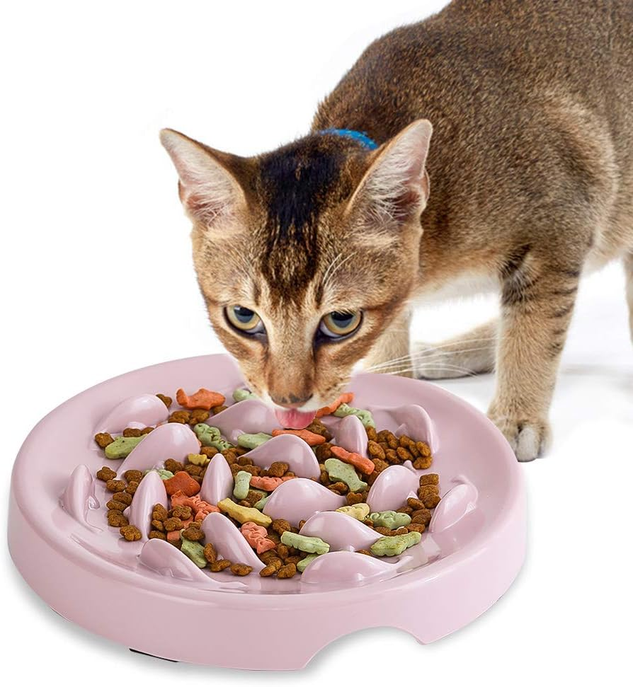 Slow Feeder Cat Bowl,Melamine Fun Interactive Feeder Bloat Stop Puzzle Cat Bowl Preventing Feeder anti Gulping Healthy Eating Diet Pet Dog Slow Feeding Bowls against Bloat, Indigestion and Obesity image number 1