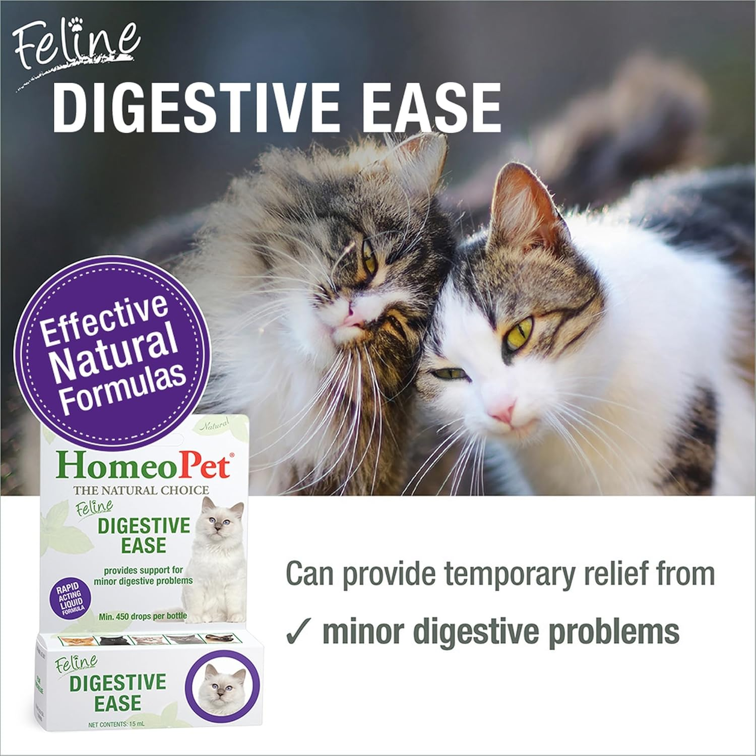 Homeopet Feline Digestive Ease 15 Ml - for Minor Digestive Upsets in Cats to Aid with Regurgitation, Throwing Up, Unsettled Stomach, Nausea, Runny Tummy & Digestive Issues. Safe Natural Vet Formula image number 4
