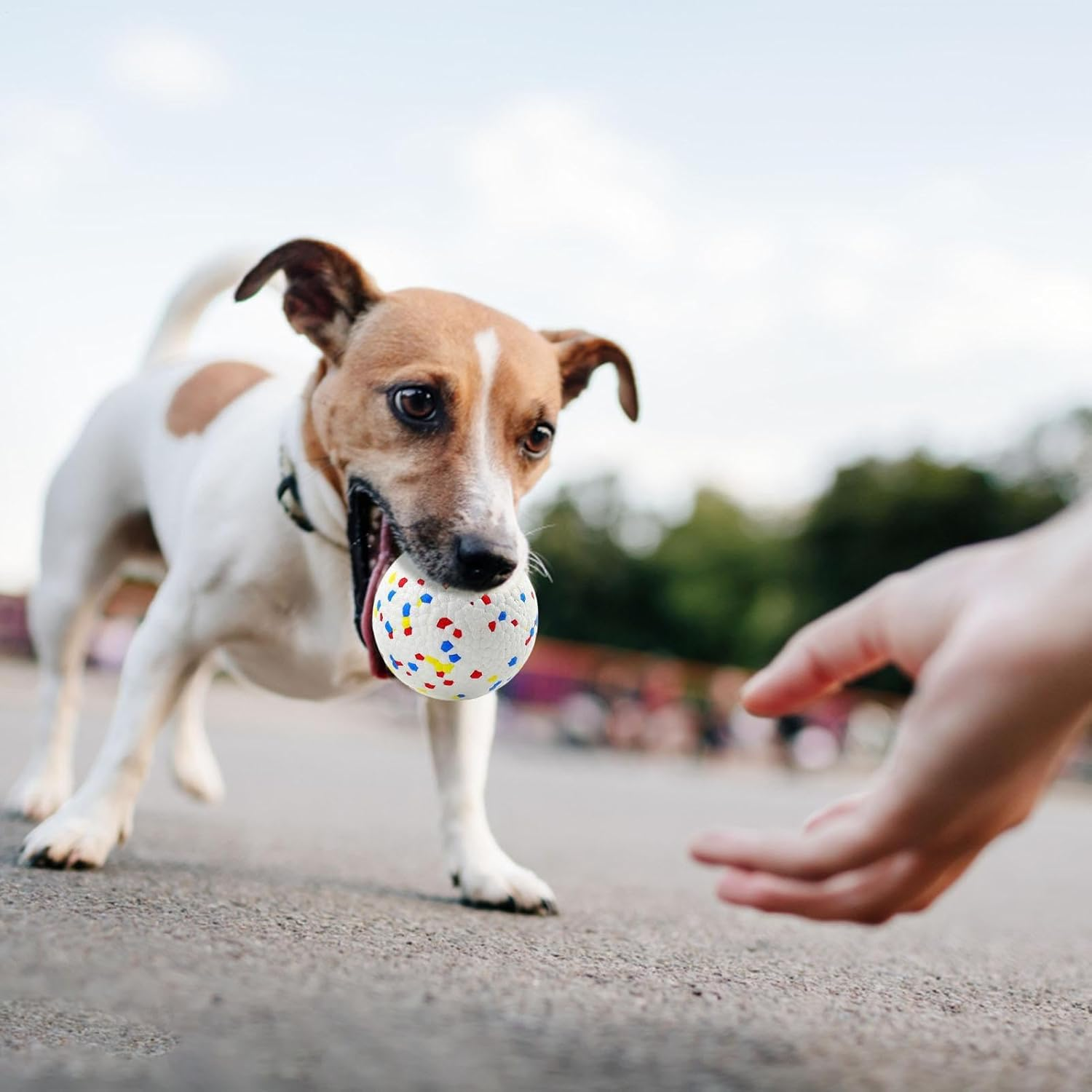 Cileznw Dog Toy Ball, Dog Teething Ball - Dog Toy Unbreakable Tube Ball Teething Toy | Fun Outdoor Puzzle Toy Pet Pacifier for Small Animals, Puppies, Dogs, Interactive image number 2