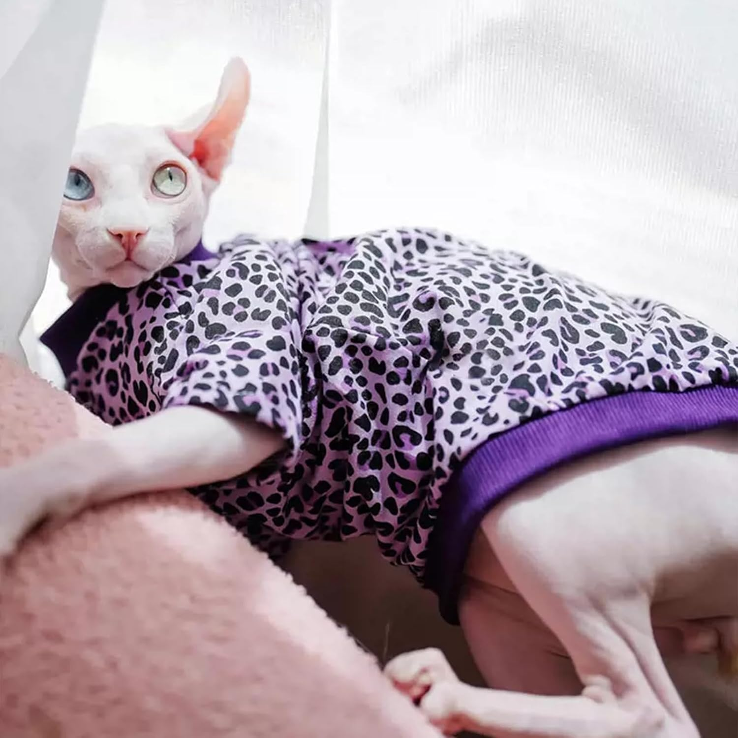 BRKURLEG Sphynx Hairless Cats Shirt Puppy Clothes Soft Cotton T-Shirts Cat Vest Pet Clothes, round Collar Vest Kitten Shirts, Cute Cats Pajamas(Purple, S)