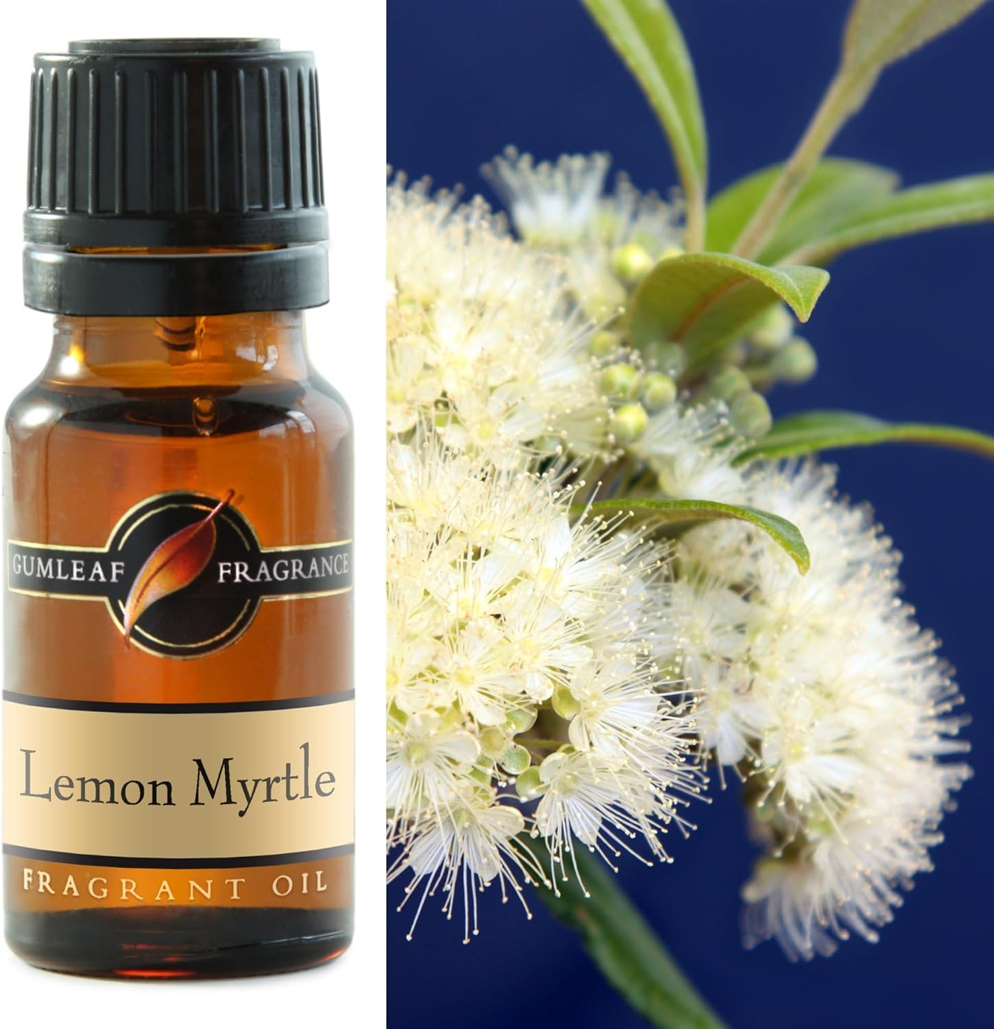 Gumleaf Fragrance Lemon Myrtle Fragrant Oil - 10Ml, Cruelty Free & Vegan, Phthalate-Free Fragrance image number 2