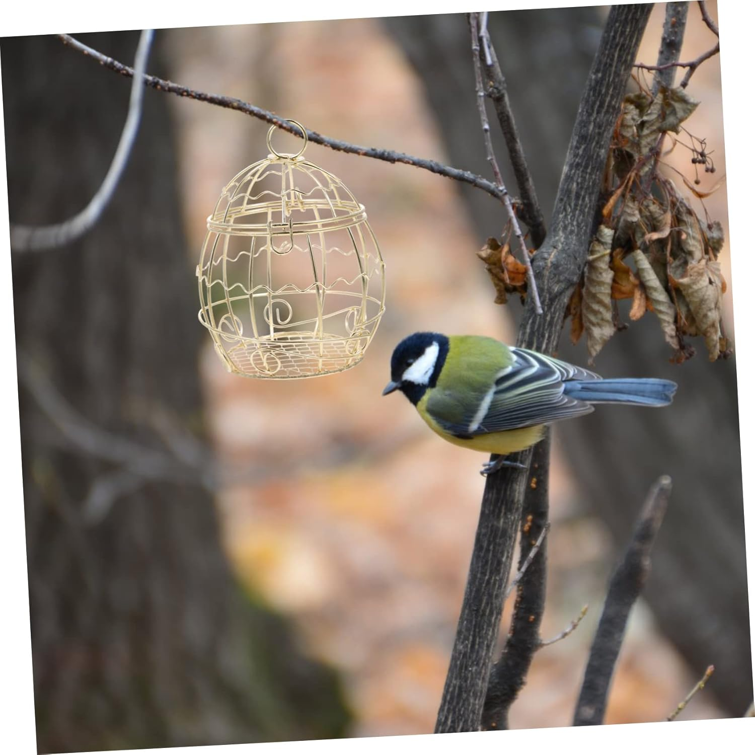 OFFSCH 12Pcs Hanging Suet Balls Holder Iron Wire Bird Feeder for Outdoor Use Durable Suet Feeder for Wild Birds for Garden and Backyard Feeding Stations image number 1