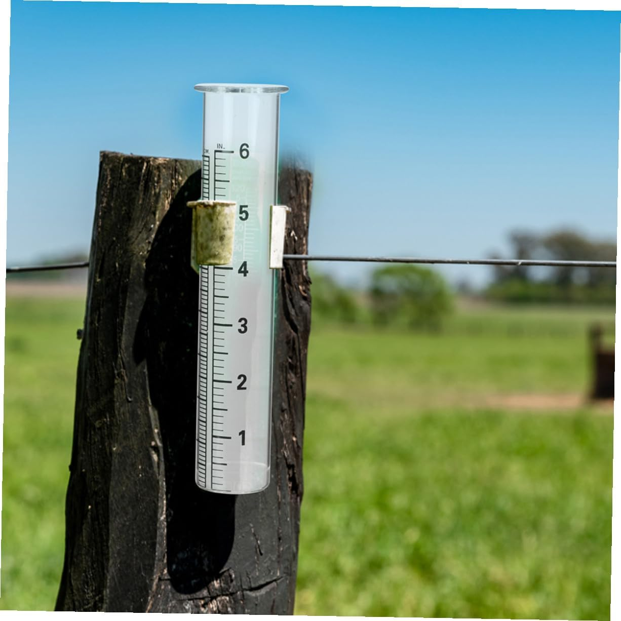 4Pcs Professional Glass Rain Gauge Tubes Replacement with Clear Scale Measuring Cylinders for Accurate Outdoor Rainfall Measurement in Garden and Lawn