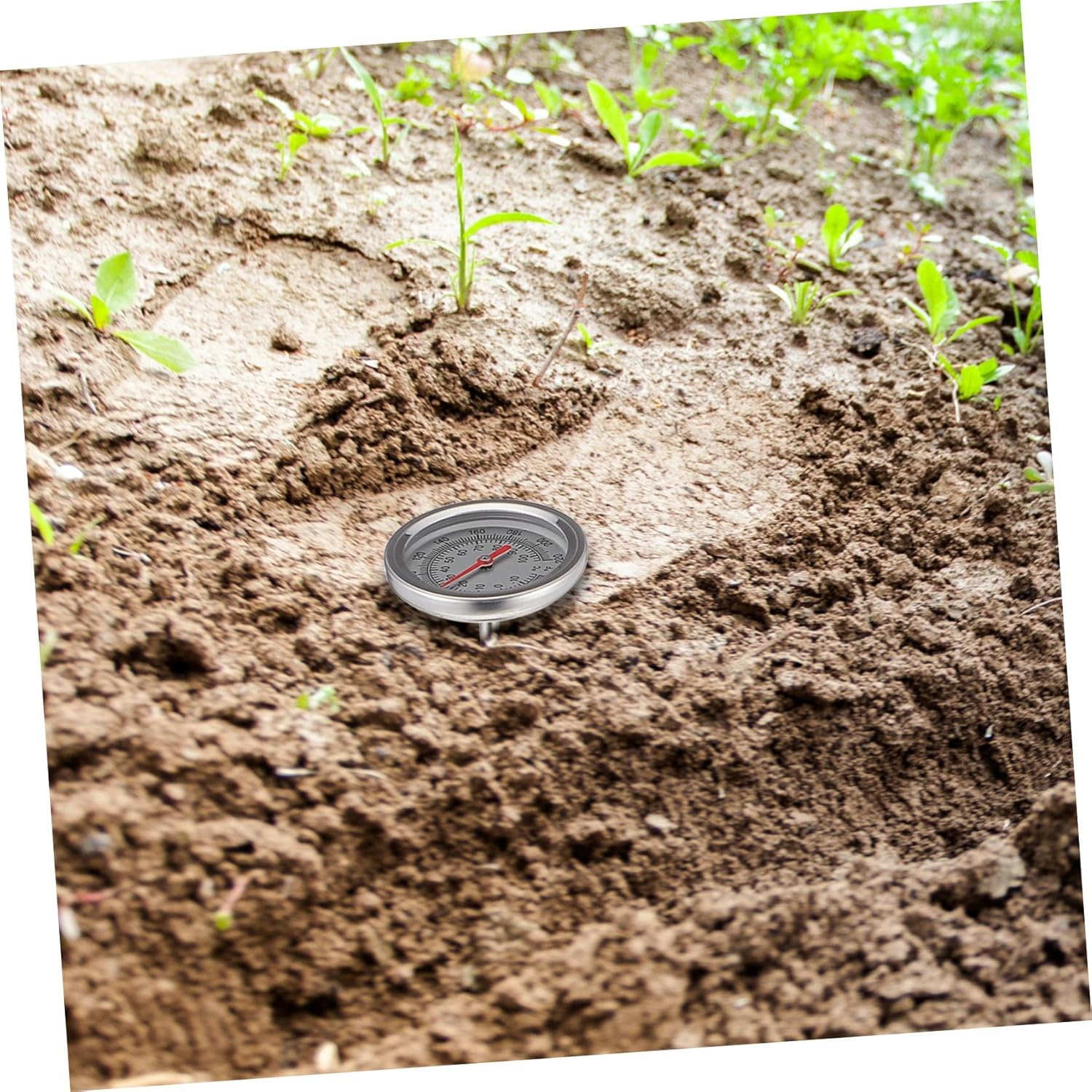 UPKOCH Stainless Steel Compost Thermometer Probe Temperature Measuring Tool for Soil Gardening Read with Extended Probe for Accurate Outdoor Soil Temperature Detection image number 1