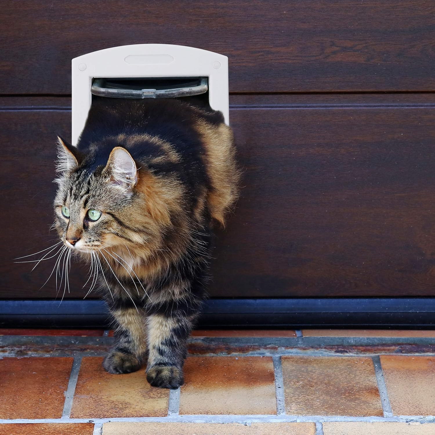 Relaxdays Relaxdays Pet Door, 4-Way Flap for Cats & Small Dogs, Magnetic, Lockable, H X D 22X20 Cm, White, One Size image number 2