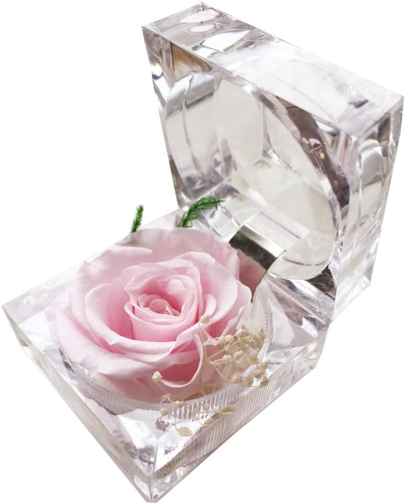 Preserved Rose Real Forever Rose in Mini Clear Ring Box, Eternal Flower Rose Gifts for Women Mom Girlfriend Grandma, Mothers Day, Anniversary, Valentines, Christmas, Birthday (Pink) image number 5