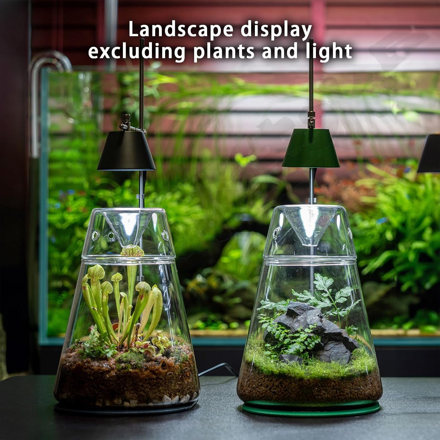 Glass Plant Terrarium with Lid 6.3"X7.9" Inches Succulent Air Planter Fern Moss Micro-Landscape Vase for Home Office Tabletop Decoration Container Indoor Wardian Copyright Patent image number 3