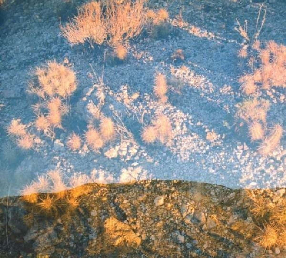 Earth Loop image number 1