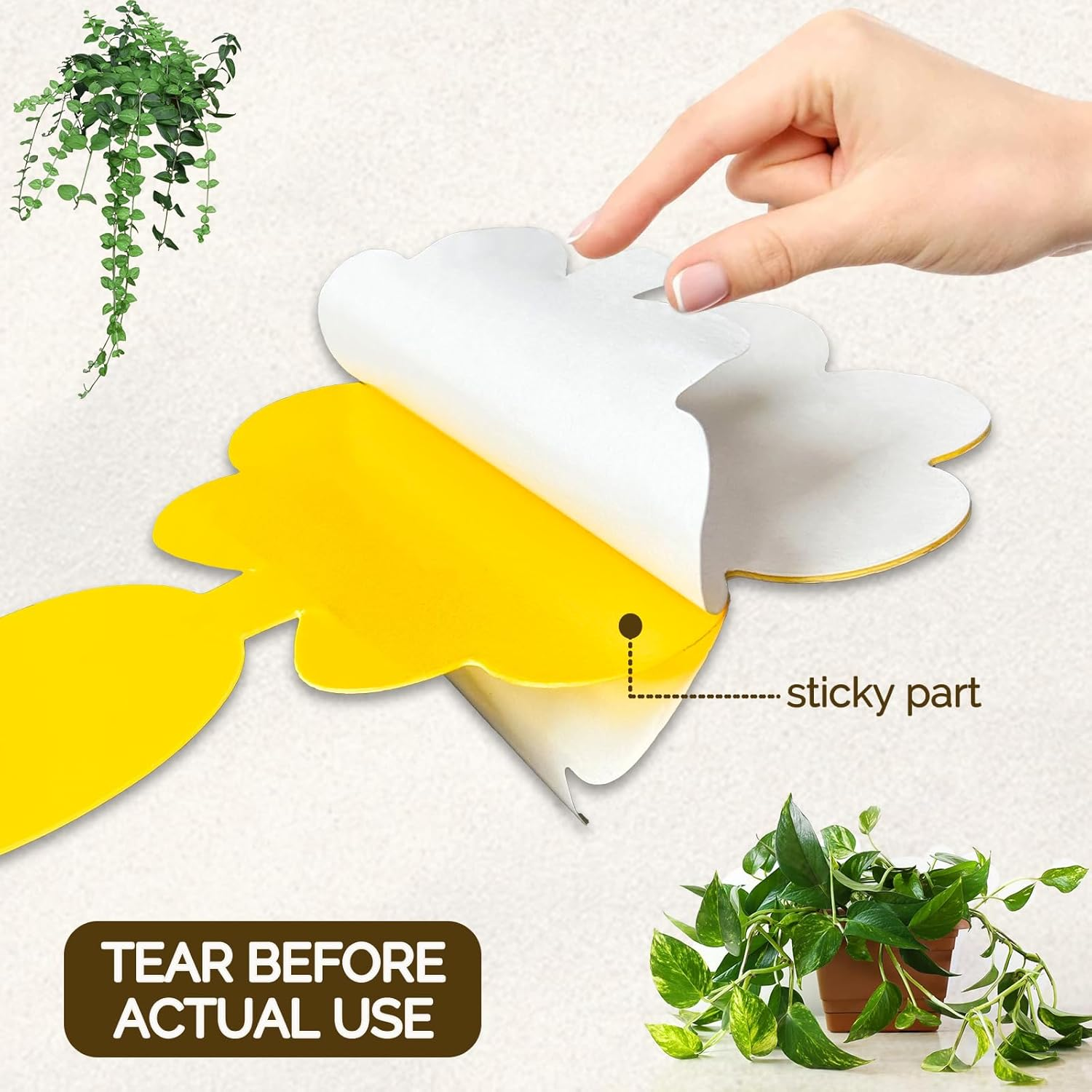 60 Pack Fruit Fly Sticky Trap,Portable Insect Traps for Mosquito Flies Moths,Waterproof Disposable Fly Sticker for Plant,Outdoor Indoor Use image number 3