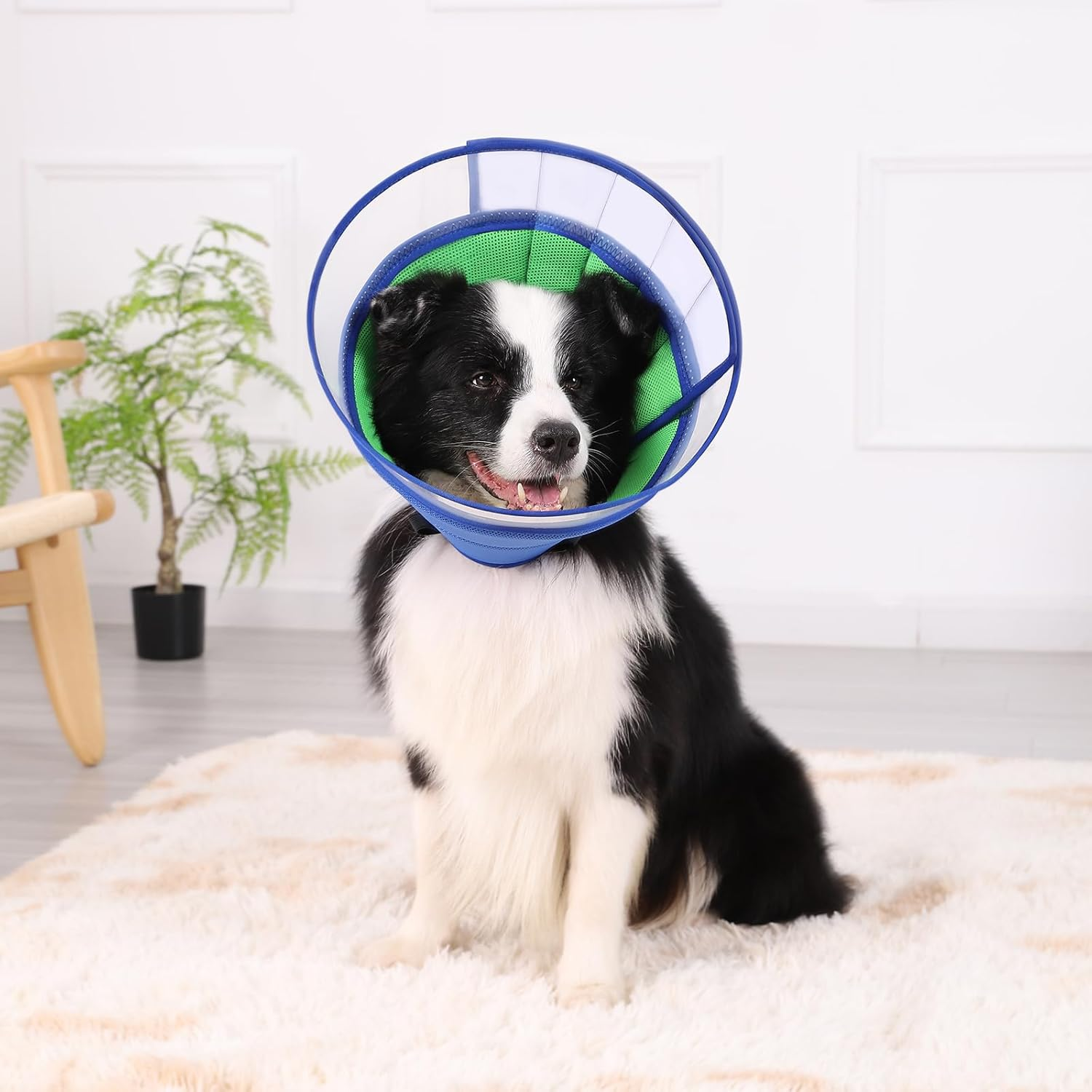 Soft Dog Cone Collar for Dogs after Surgery, Buster Collars for Dogs and Cats, E-Collars for Dogs, Adjustable Dog Recovery Collar for Pets, Protective Head Cone for Dogs Prevent Licking (Blue, Size 5) image number 2