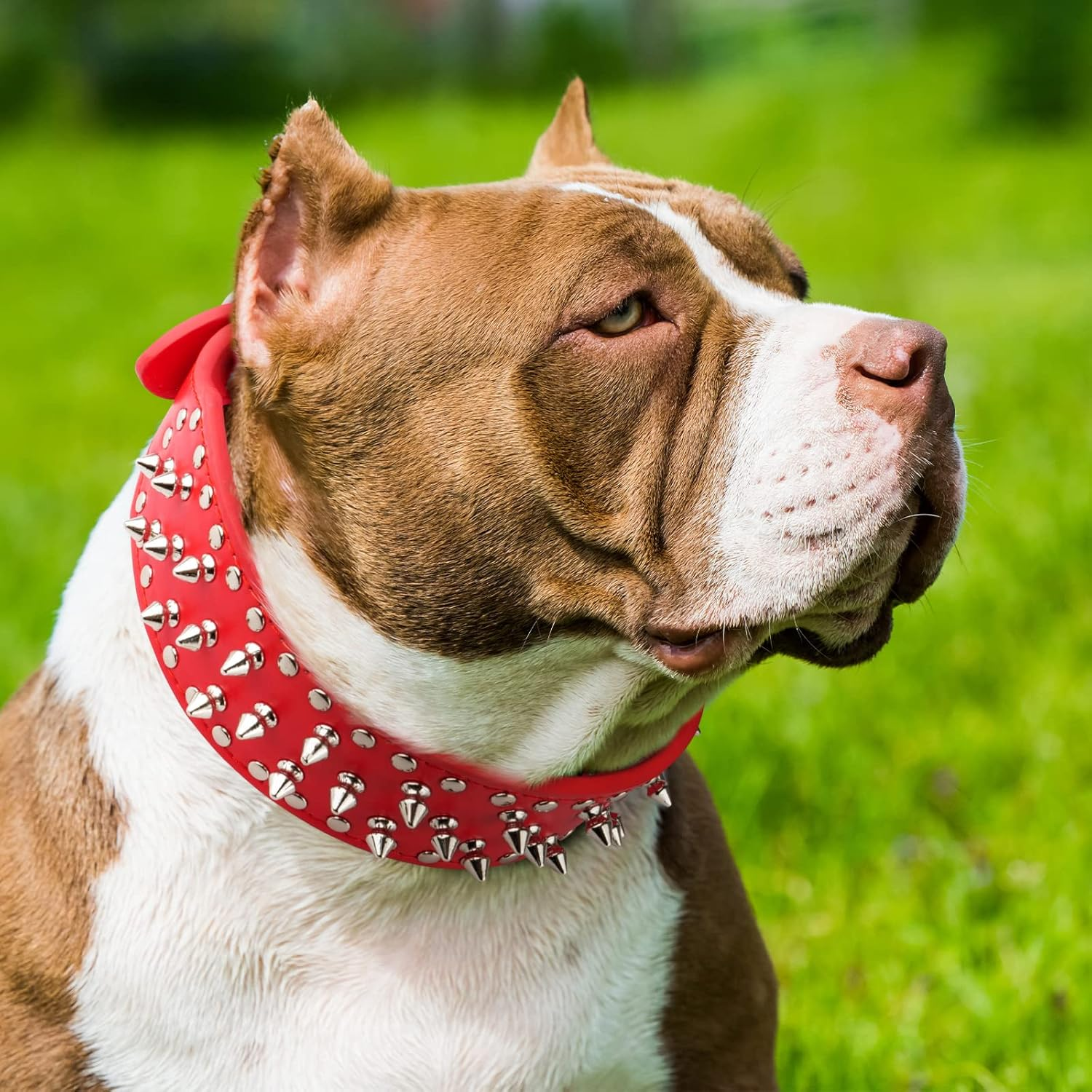 Epesiri Adjustable Wide Spiked Dog Collar, Mushroom Rivet PU Leather Cat Dog Collars, Durable Spike Studded Pet Collar for Small Medium Large Breed, Pitbull Mastiff Bulldog Pugs Husky Rottweiler, Pink image number 3