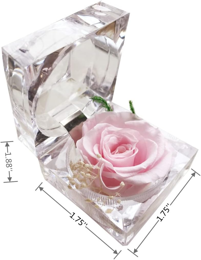 Preserved Rose Real Forever Rose in Mini Clear Ring Box, Eternal Flower Rose Gifts for Women Mom Girlfriend Grandma, Mothers Day, Anniversary, Valentines, Christmas, Birthday (Pink) image number 2