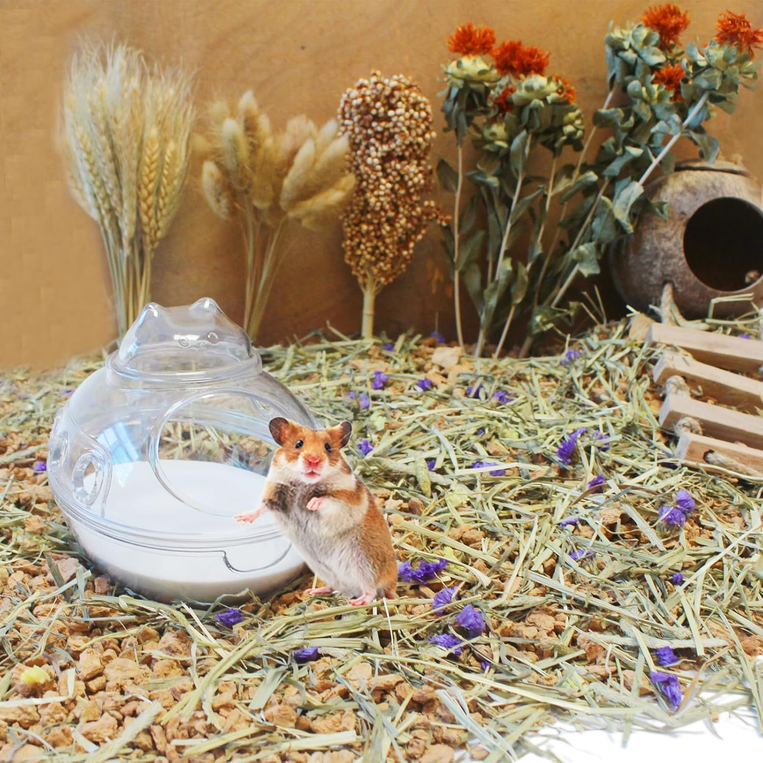 JFWOD Hamster Bath Sand, 7.7Lb Dust Free Desert Sand or Potty Litter Sand for Hamster Chinchillas Gerbil Syrian Mice Small Animals - Beige image number 4