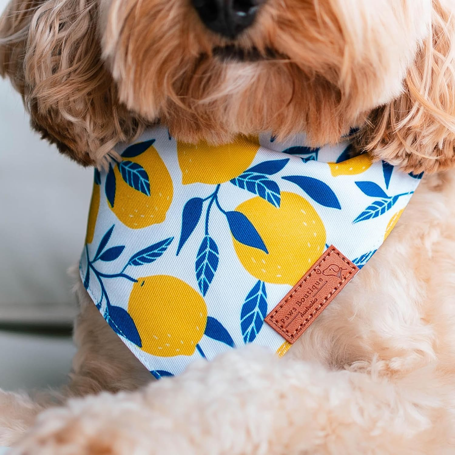 Paws Boutique Premium Dog Bandana/Scarf | Design: Lemon Zest Chic | Reversible Dual Layered/Sided | Small, Medium & Large Pets | Unique Style | Accessories for Puppies & Dogs (S) image number 1
