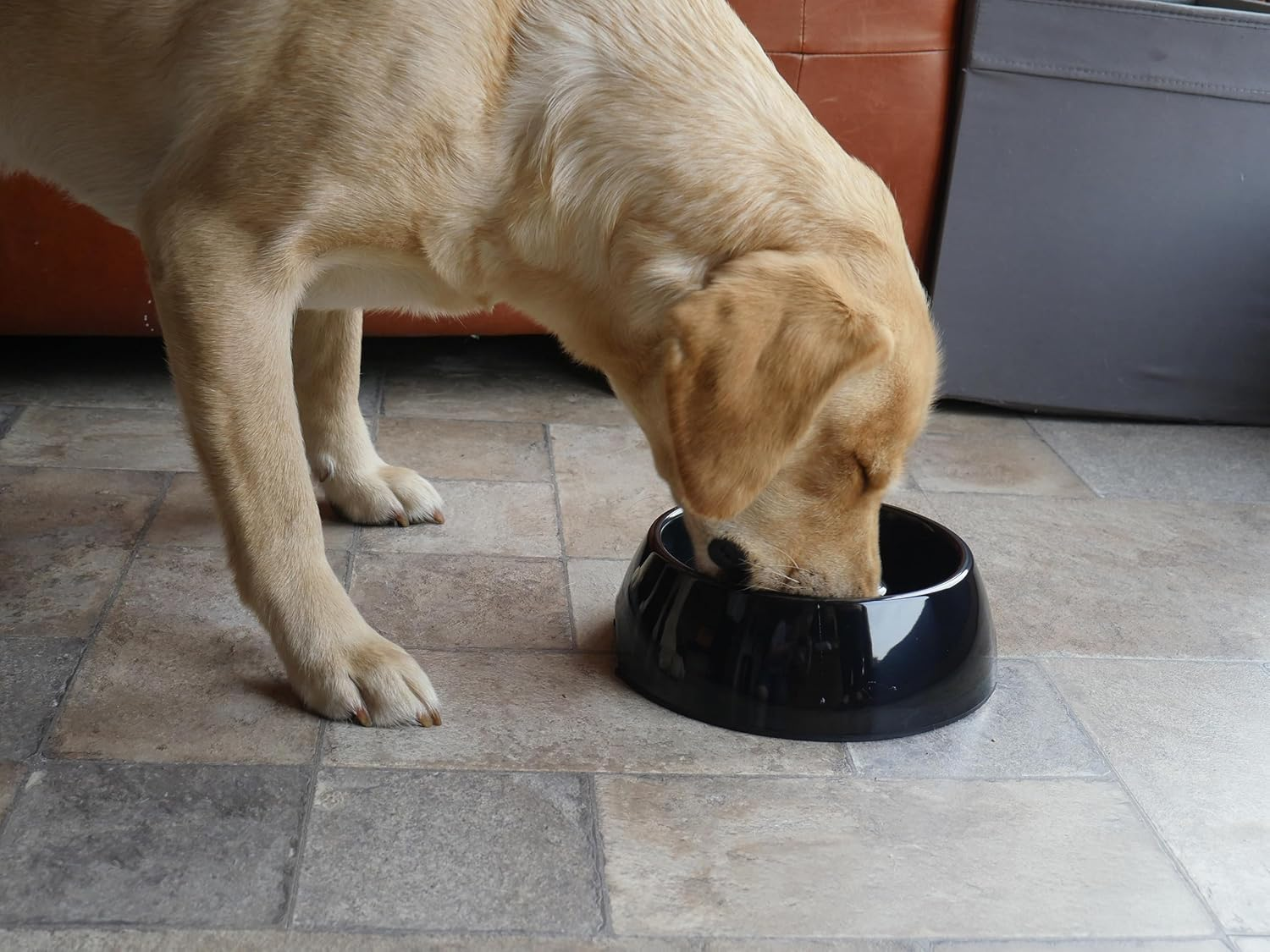 Rosewood Heavy Duty anti Scoff Melamine Slow Feeder Bowl for Dogs, Medium