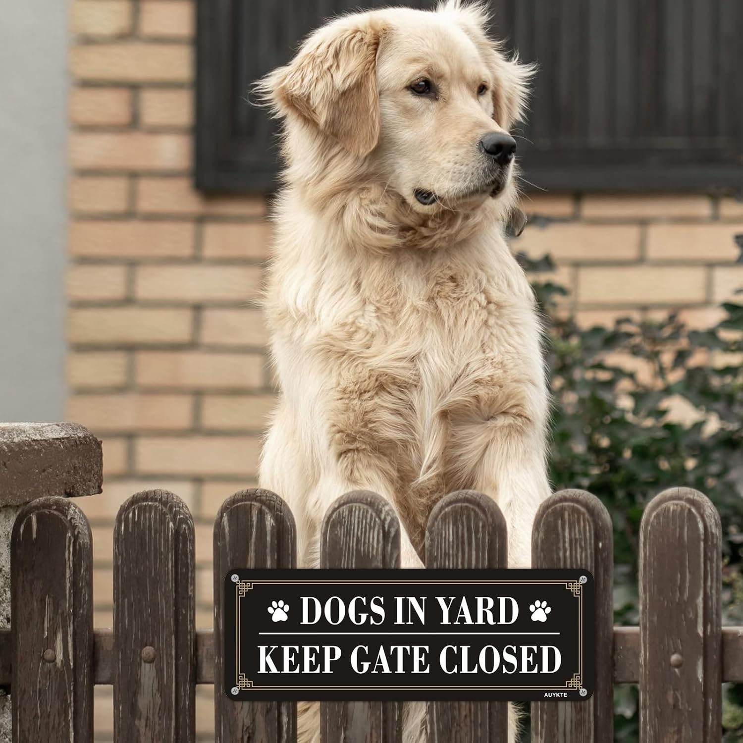 4 Pack Dogs in Yard Please Close Gate Sign, 10X3.5 Inches Aluminum Reflective Metal Sign, Keep Gate Closed Sign, Waterproof, Easy Mounting ﻿