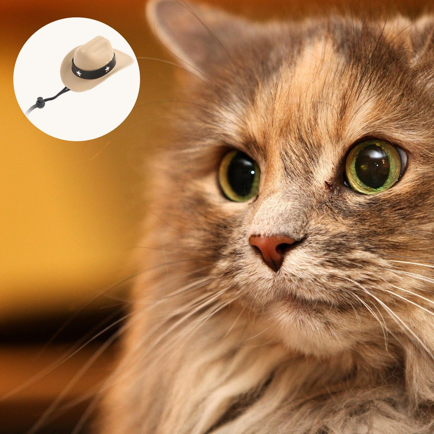 2 Pices Dog Cowboy Hat, Pet Dogs Cowboy Costume Hats, Pet Party Cowboy Hat, Western Dog Cowboy Hat, for Puppy Kitten, Pet Party Festival and Daily Wearing Decoration image number 4