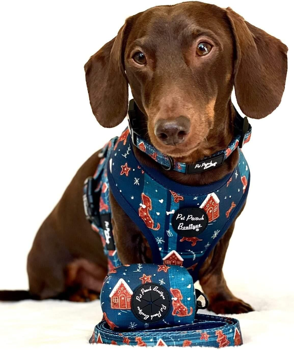 Gingerbread Biscuit Dog Collar S