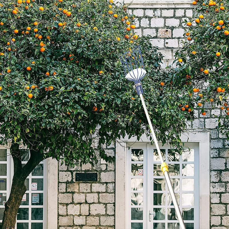 Horticultural Convenient Labor Saving Fruit Picker Tool Apple Picking Garden, Sturdy Lightweight Design, 13.6X5.7 Inches