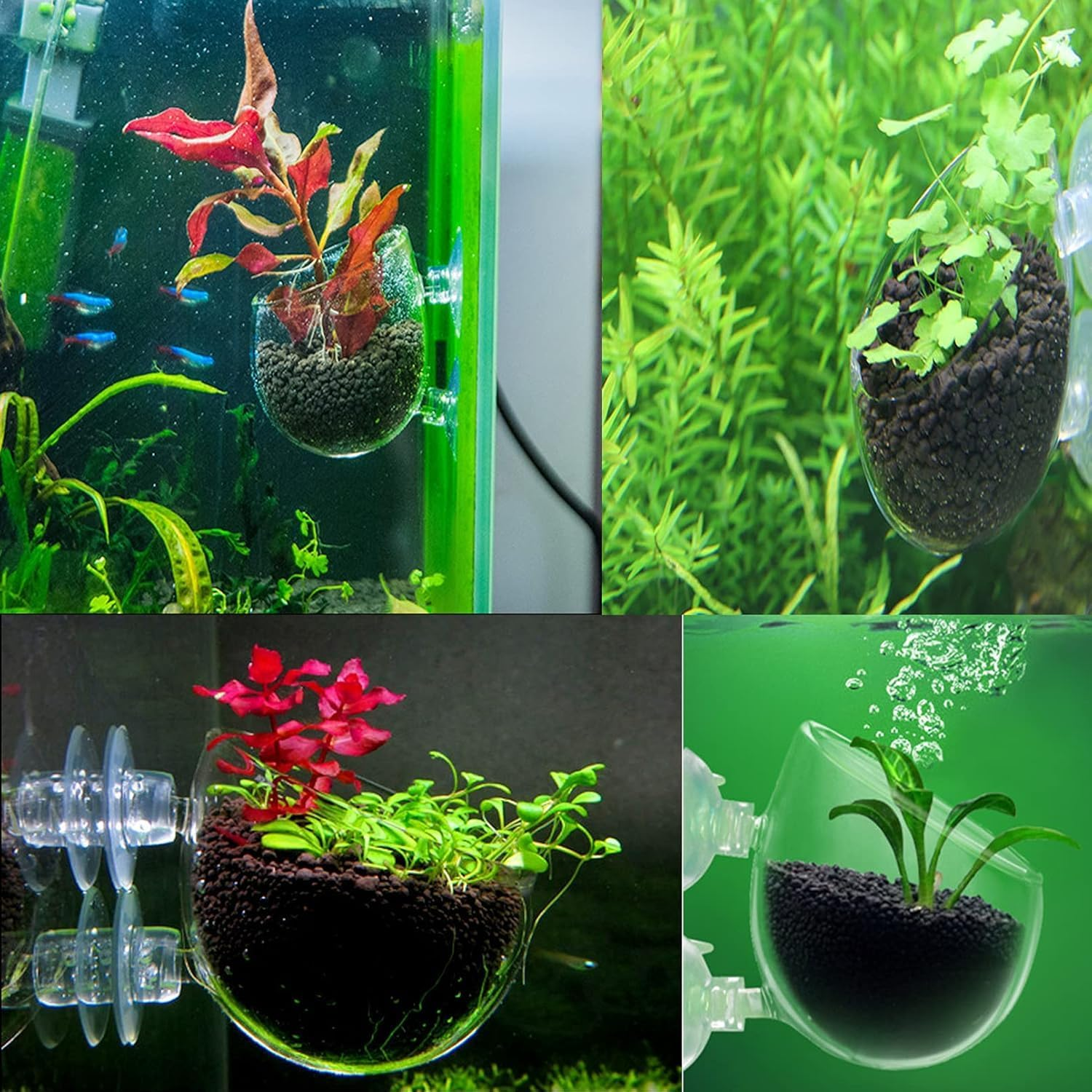 8 Pcs Plant Pot Aquarium Decor, Aquatic Cup, Magnifying Glass Shelf, Crystal Planter Holder image number 5