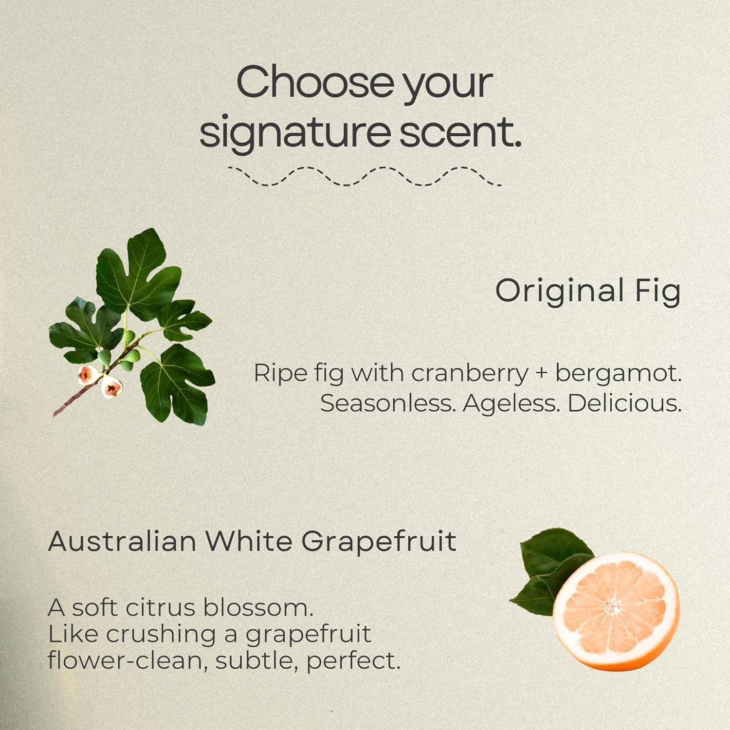 Murchison-Hume Everything Laundry Detergent, Natural & Eco-Friendly, Plant-Based Formula for Gentle Cleaning, 946Ml (Basil Mandarin Kale) image number 1